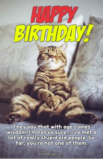 Funny Birthday Wishes Funny Birthday Messages
