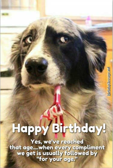 Funny Birthday Wishes: 250+ Uniquely Funny Messages