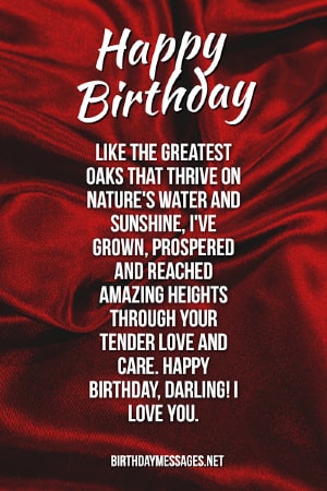 Birthday Toasts - Romantic Toast and Romantic Toast Keepsake for a Birthday Guy or Gal Birthday Toasts - Romantic Toast and Romantic Toast Keepsake for a Birthday Guy or Gal