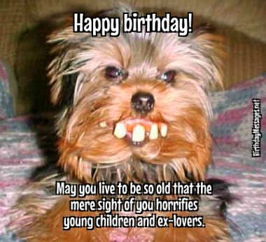 funny happy birthday quotes