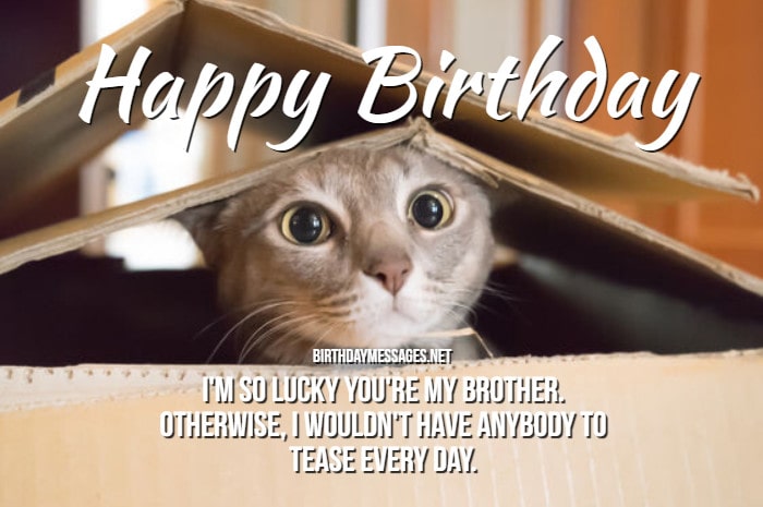 Brother Birthday Wishes - Heartfelt Birthday Messages for Brothers