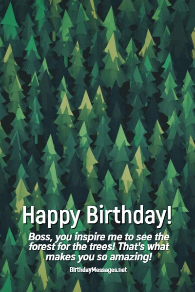 Boss Birthday Wishes: Birthday Messages for Boss (Even Toxic Bosses) Boss Birthday Wishes: Birthday Messages for Boss (Even Toxic Bosses)