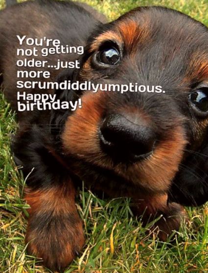 Cute Birthday Wishes & Birthday Quotes: Birthday Messages Cute Birthday Wishes & Birthday Quotes: Birthday Messages