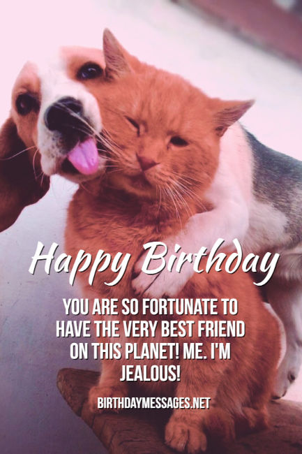 Funny Birthday Wishes & Quotes: Funny Birthday Messages