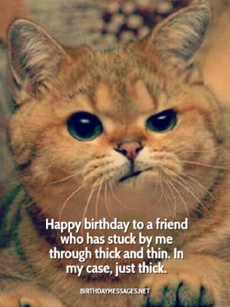 Funny Birthday Wishes Quotes Funny Birthday Messages