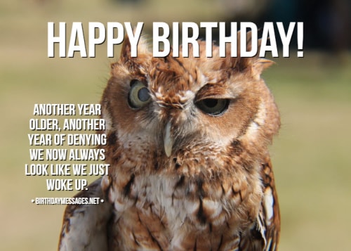 Funny Birthday Wishes Quotes Funny Birthday Messages