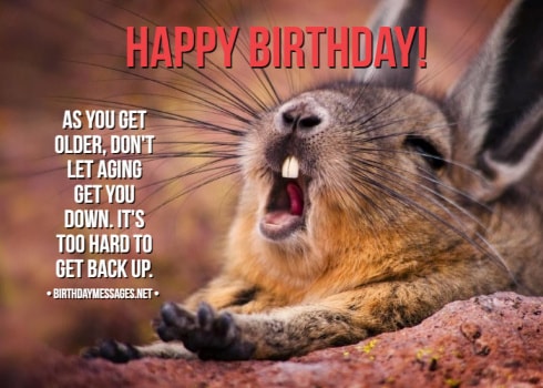 Funny Birthday Wishes Birthday Quotes Funny Birthday Messages