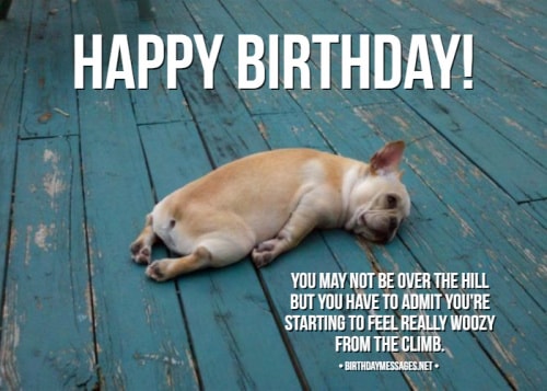 Funny Birthday Wishes Quotes Funny Birthday Messages