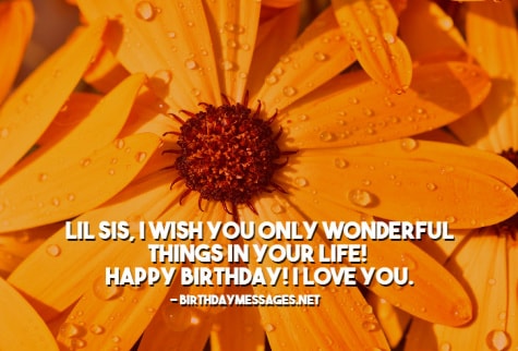 Sister Birthday Wishes - Happy Birthday Messages for Sisters