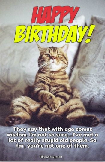 Funny Birthday Wishes And Birthday Quotes Funny Birthday