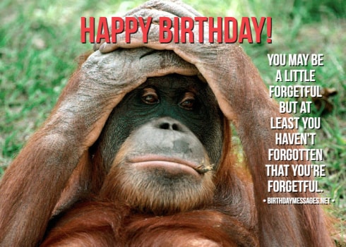 Funny Birthday Wishes: 250+ Uniquely Funny Messages