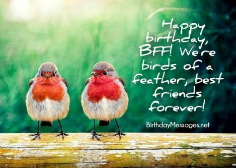 Friend Birthday Wishes: 300 Birthday Messages & Images for Friends